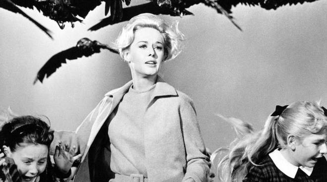 Registi perfezionisti