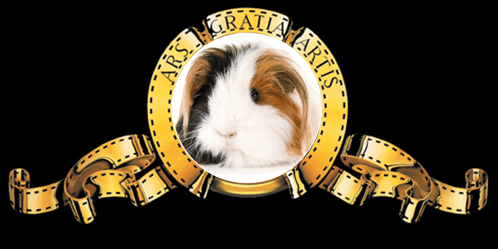 Titoli e fantasia 12: le vostre&nbsp;trame