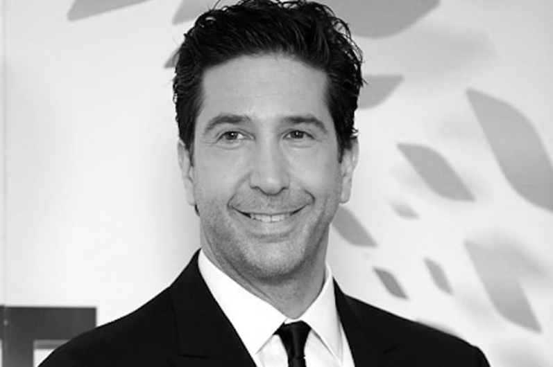 David Schwimmer