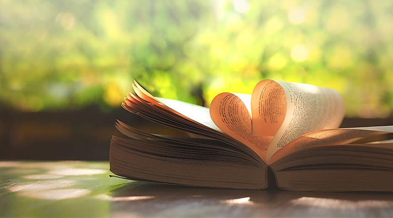 BOOK TAG: 25 giorni di&nbsp;libri